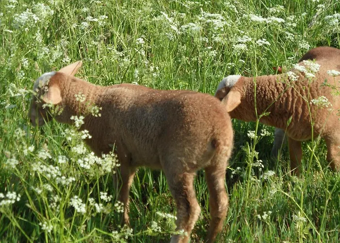 Am Brunnen Merkendorf