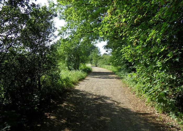 Апартаменты Am Brunnen Merkendorf Цойленрода